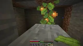 One Way One High Hidden Entrance - Minecraft 21w05a