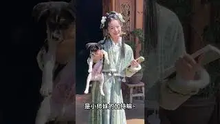 小师妹 #chinesegirl #shisanyu #hanfu #hanfugirl #hanfudress #chinese #chineseculture