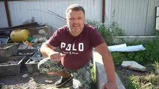 Рыбки растут, всё хорошо