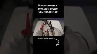 Секрет крокодилов КЕЛЬВИНА! #тайна #секрет #энерголикбез