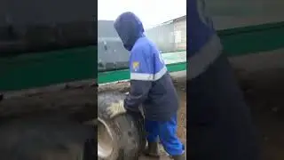 меняем колесо на телеге.