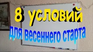 8 важных условий необходимых для хорошего весеннего старта пчелиной семьи
