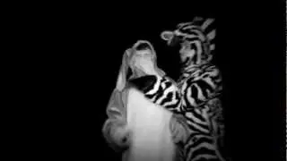 Carmission - The Fried (Zoo Sex Official Trailer)
