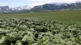 Северо-Курильск. Вид на город