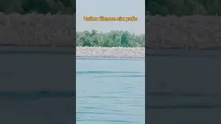 5 сентября 2024 г.