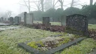 Flaer Smin - Vivid Memories (Demo from a new album)