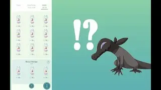 Twelve 12km eggs because I STILL need a friggin' Salandit!