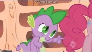 Spike - Hairity, Rainbow Crash, Spitty Pie, Appletiny, Flutterguy