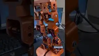 3d printed walking robot 