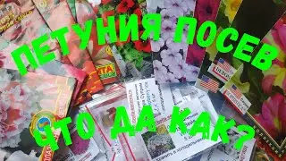 Петуния ПОСЕВ 2020