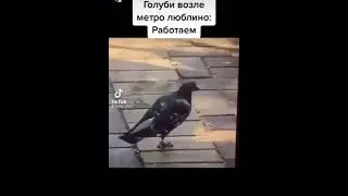 Метро люблино работаем
