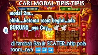 POLA ROOM DUOFUCAI hari ini[[2 Wild jadi andalan]]Banjir Scater
