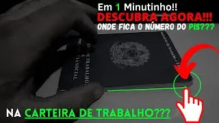 Onde Encontro o Numero Do Pis e Onde Fica o Número Do PIS Na Carteira De Trabalho EM 1 MIN