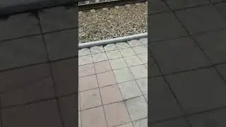 поезд сошел с рельсов