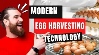 AMAZING MODERN AUTOMATIC FARMING LATEST EGG HARVEST TECHNOLOGY (HD Quality)