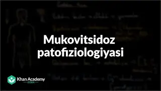 Mukovitsidoz patofiziologiyasi | Mukovitsidoz | Tibbiyot