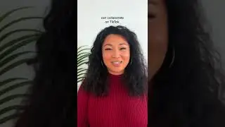 TikTok создал новую площадку Creator Next, которая объединит авторское сообщество соцсети
