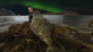 Spearfishing Giant Atlantic HALIBUT in Norway