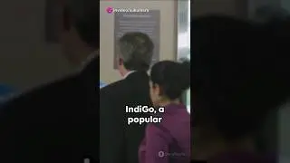 Unexpected Reactions About indigo website down