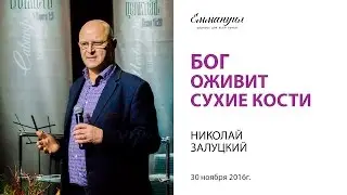 Бог оживит сухие кости - Николай Залуцкий