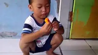 Mesum terbaru