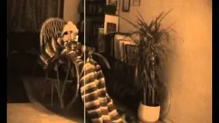 Из инсталляции 