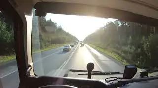 Суслики на валдберисе