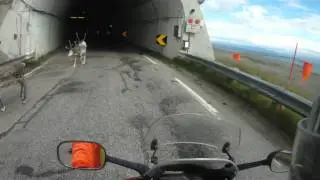 Motorbike trip to the Nordkapp 2013