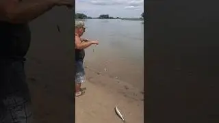лучшая рыбалка по судаку