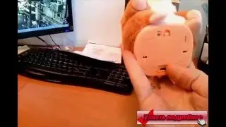 Хомяк 2 в 1 повторяет и читает рэп. Жми