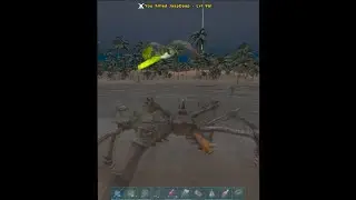 How I take care of people on Wyverns
