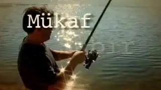 Balıktayım Genel Tanıtım1