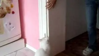 Jumper :)