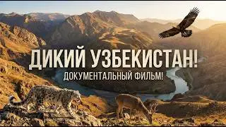 Wild Uzbekistan: The Lost World of the Kyzylkum Desert