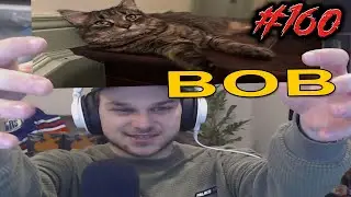 BLARG NEW CAT (he name a bob) !!!!!!!!!!! - GOONS 