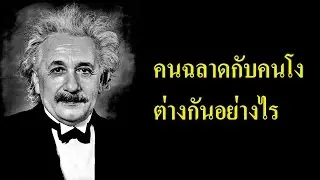 HAM Channel คนฉลาดและคนโง่ แตกต่างกันอย่างไร
