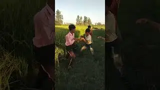 murgi dance #trending #video #viral #funny #comedy #shorts #mr Indian hacker #masti video king 420