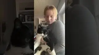 Sumi Voice Effects Cat 