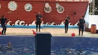Dolphin show at Safari Beach Jateng
