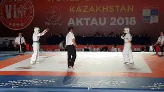 Александр Иванов финал чемпионата Мира Ашихара карате 2018