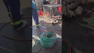 Large pot of Fish coming on board