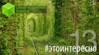#этоинтересно