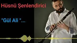Hüsnü Şenlendirici
