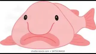 More Blobfish Facts in 30 Seconds