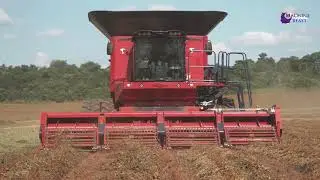 Amazing Agriculture Harvesting Machines & Next level extreme farming Technology