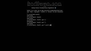 Python print sep and end arguments 