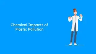 Impacts of Plastic Pollution on Soil