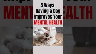 5 Ways Dogs Improve Our Mental and Physical Health #dogowner #dogownership #dogowners #doglover