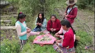 Sembrando liderazgo, cosechando igualdad: La mujer en el desarrollo sostenible.
