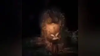 ХАХАХА.Угарнул с этого=)